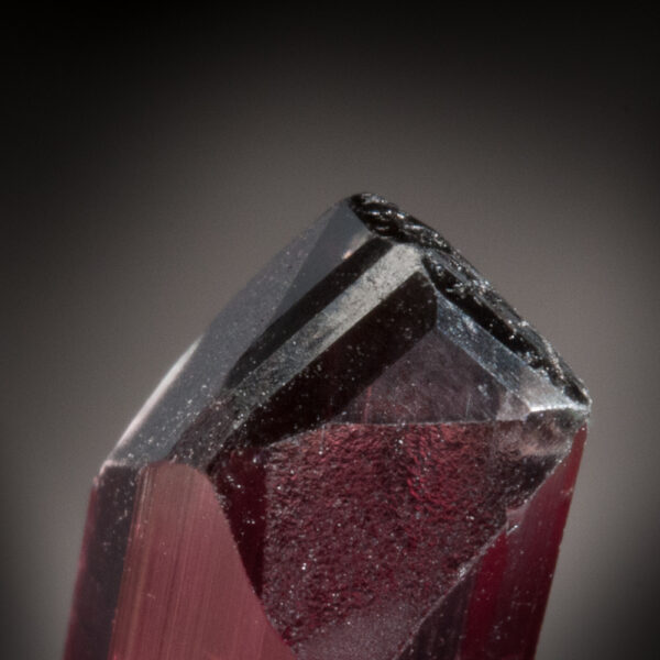Elbaite Tourmaline - Image 5