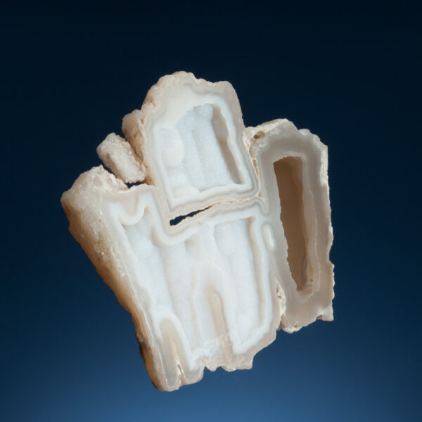 Quartz (after coral) - Image 2