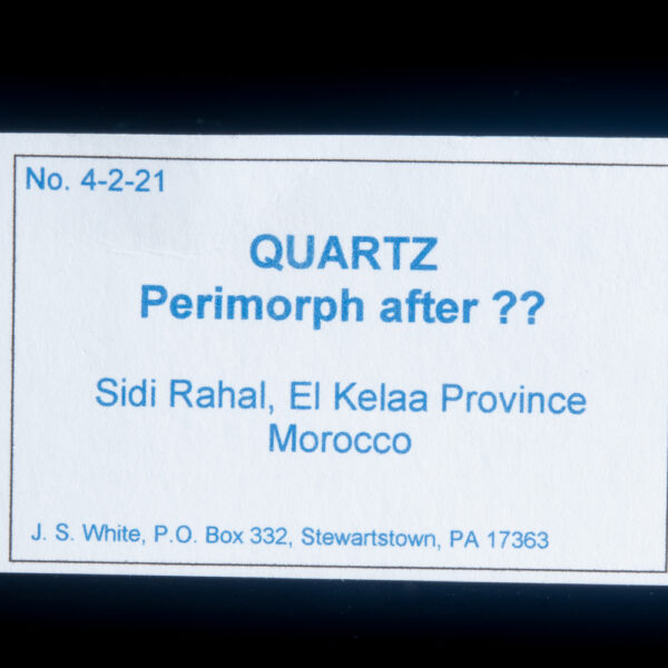 Quartz (Epimorph) - Image 5