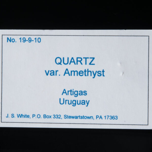 Quartz, var. Amethyst - Image 6