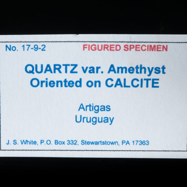 Quartz, var. Amethyst ("Skunk") - Image 6