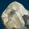 Pyrite - Image 2