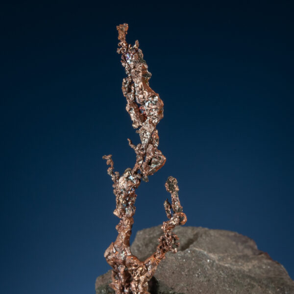 Copper - Image 2