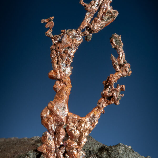 Copper - Image 3