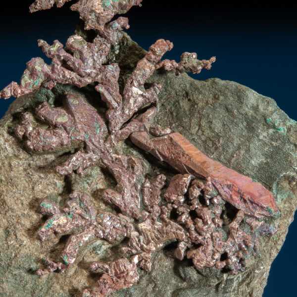 Copper - Image 2