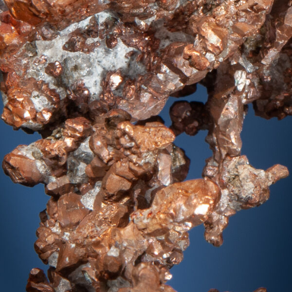Copper - Image 5