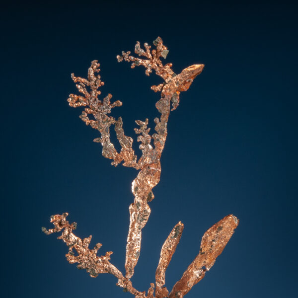 Copper - Image 2