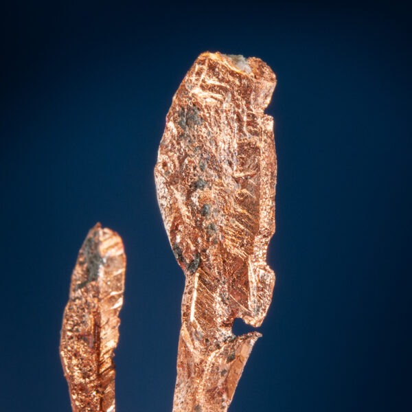 Copper - Image 3