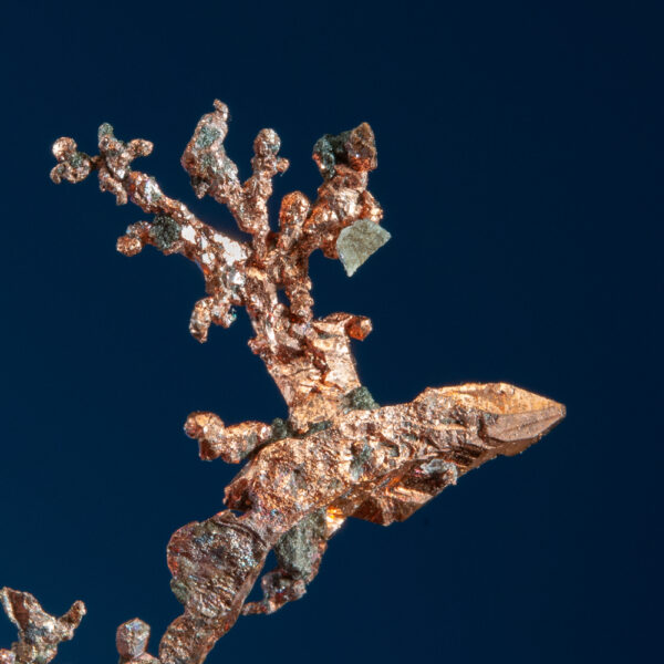 Copper - Image 4