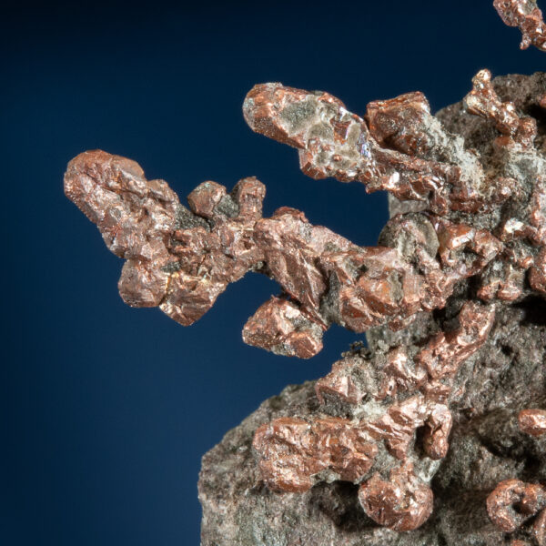 Copper - Image 2