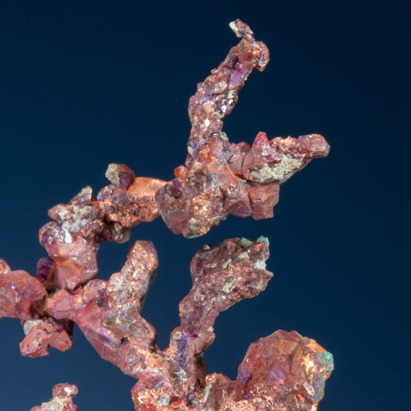 Copper - Image 3
