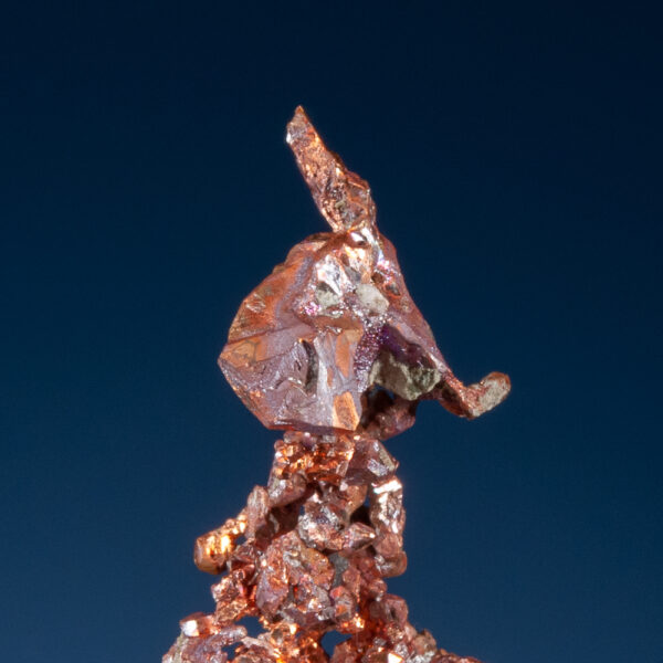 Copper - Image 3