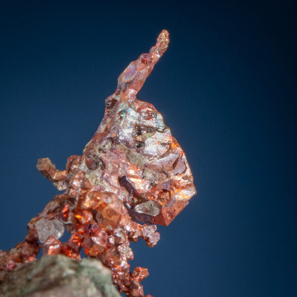 Copper - Image 4