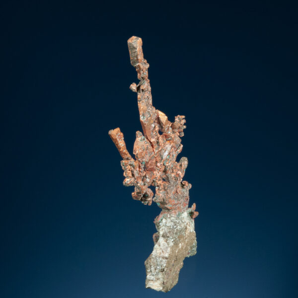 Copper - Image 3