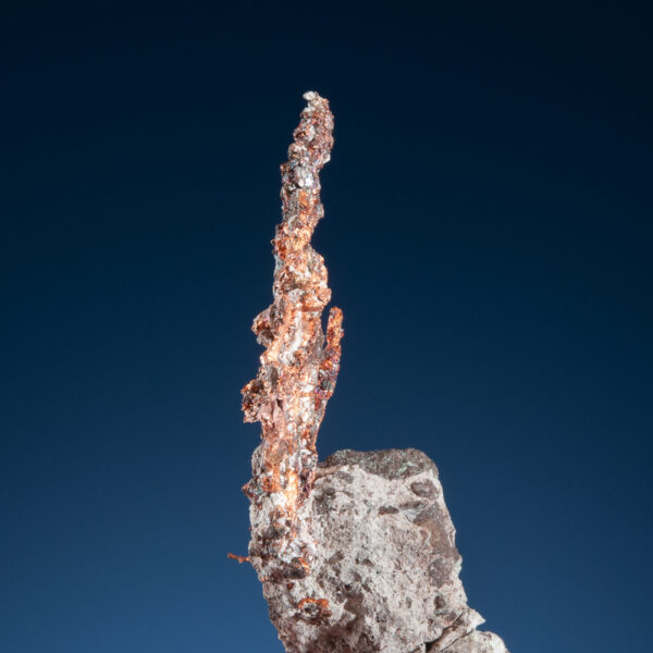 Copper - Image 2