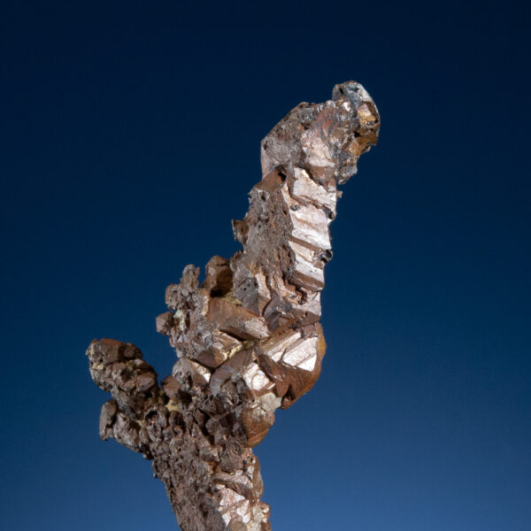 Copper - Image 3