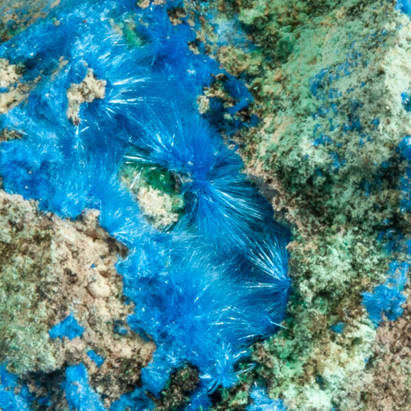 Cyanotrichite - Image 3