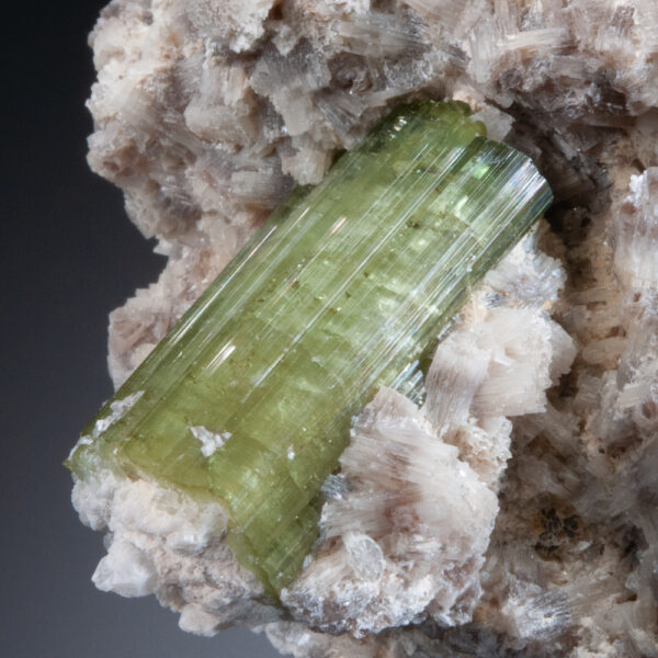 Elbaite Tourmaline - Image 4