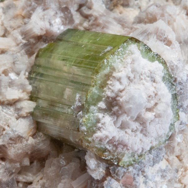 Elbaite Tourmaline - Image 5