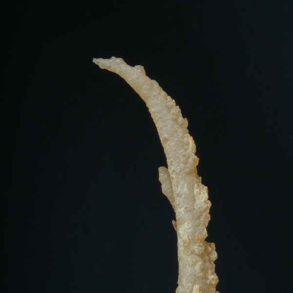 Quartz, var. chalcedony - Image 4