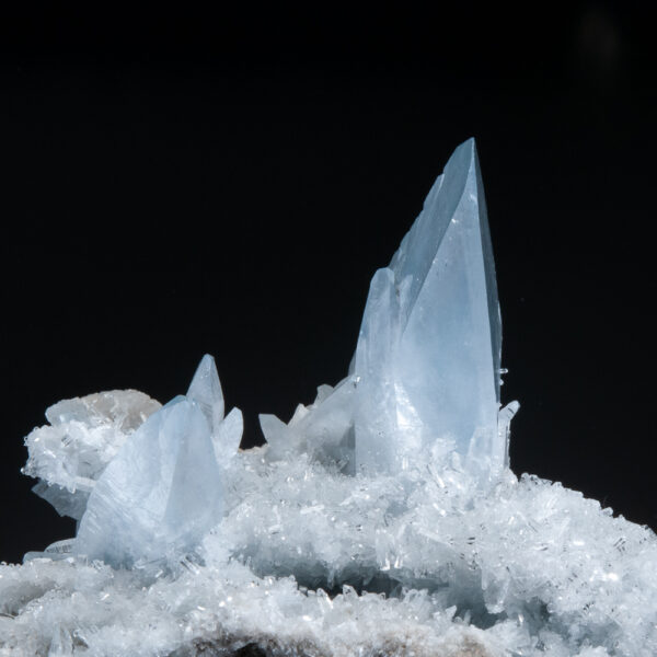 Celestine - Image 9