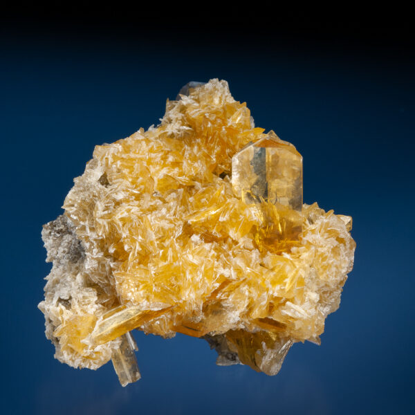 Gypsum var. Selenite on Halite