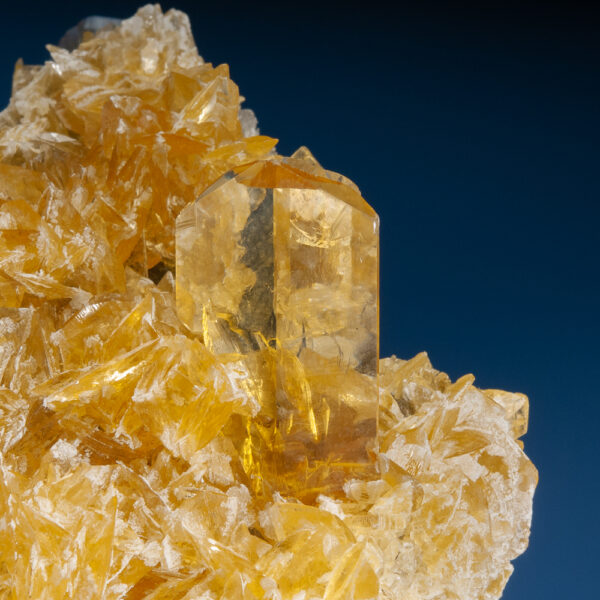 Gypsum var. Selenite on Halite - Image 2