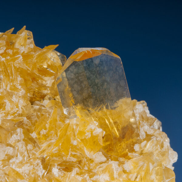 Gypsum var. Selenite on Halite - Image 3