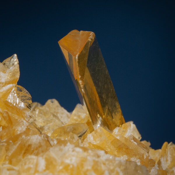 Gypsum var. Selenite on Halite - Image 5