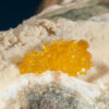 Legrandite - Image 4
