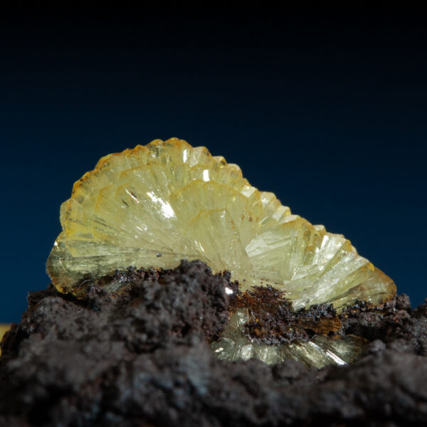 Adamite - Image 4