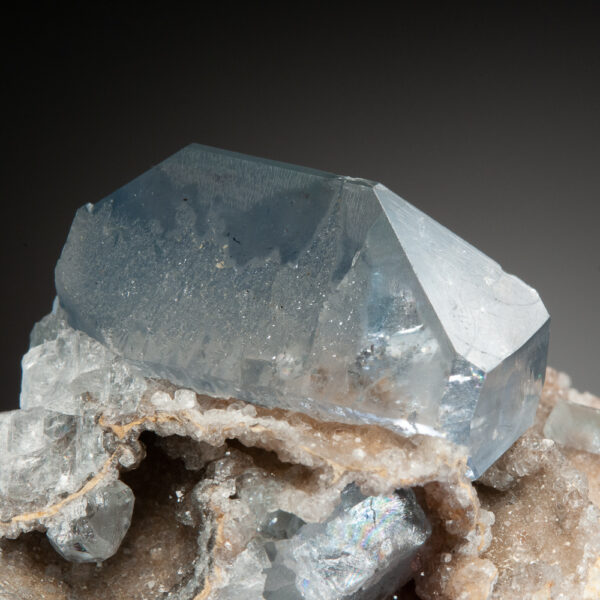 Celestine - Image 5
