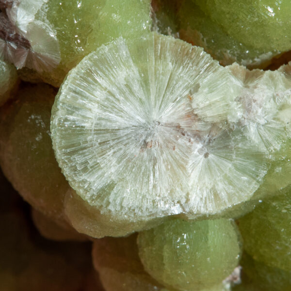 Wavellite - Image 5