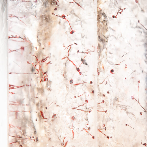 Quartz, var. Smoky Quartz (Sceptre) - Image 6