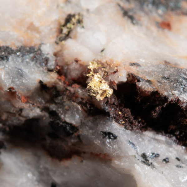 Gold - Image 3