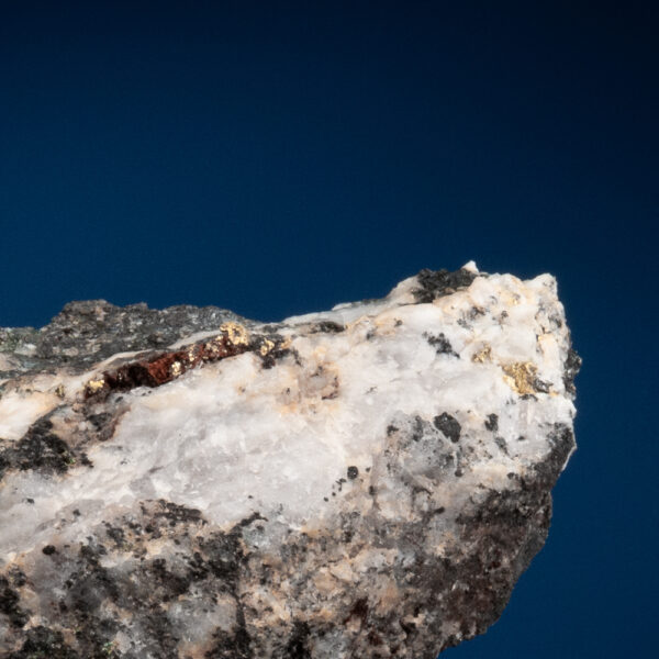 Gold - Image 4