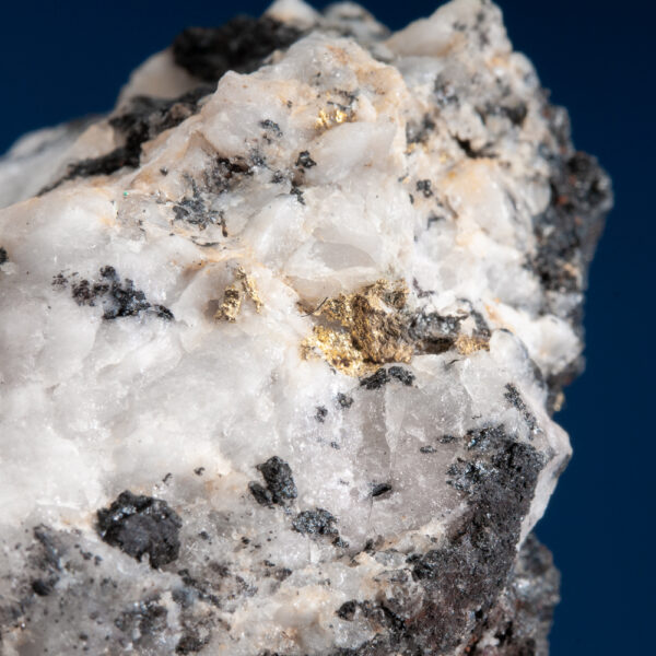 Gold - Image 5