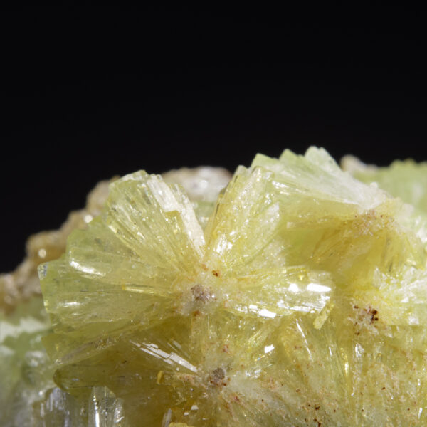 Adamite - Image 3