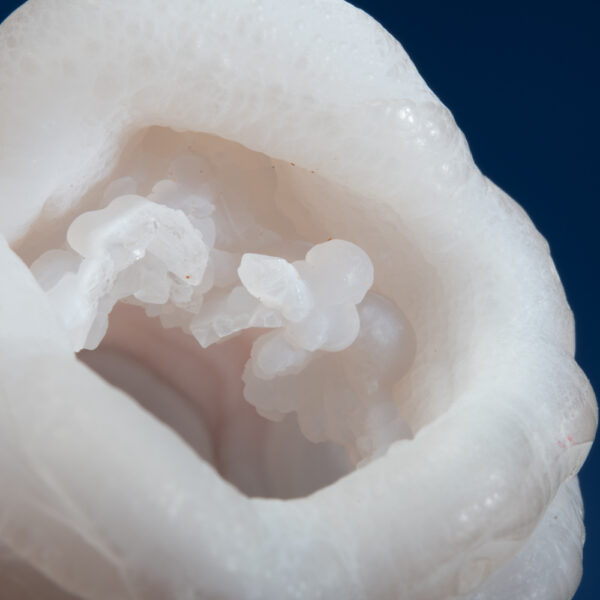 Quartz var. Chalcedony - Image 3