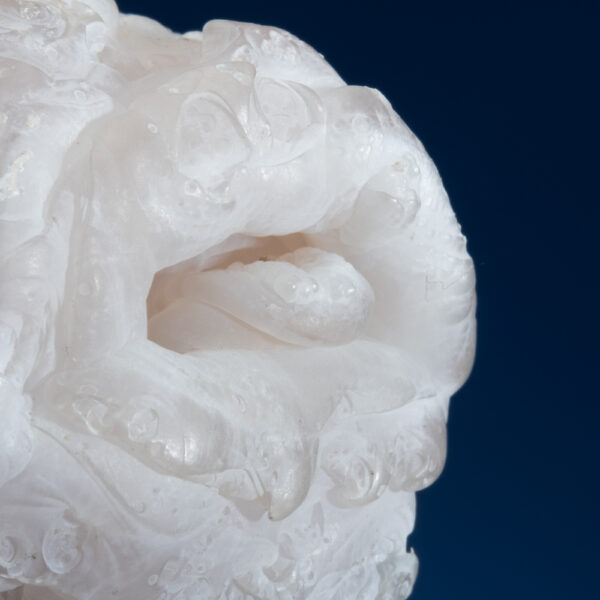 Quartz var. Chalcedony - Image 3