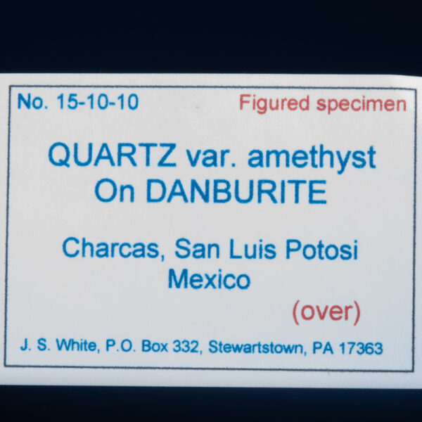 Quartz var. Amethyst on Danburite - Image 3