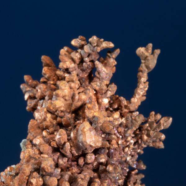 Copper - Image 2