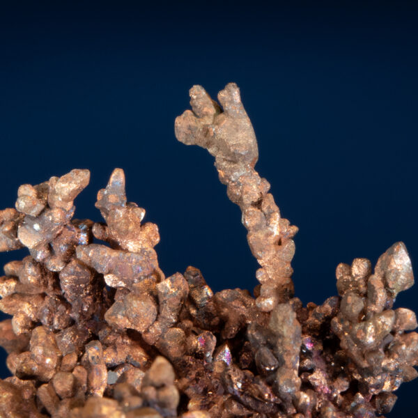 Copper - Image 3