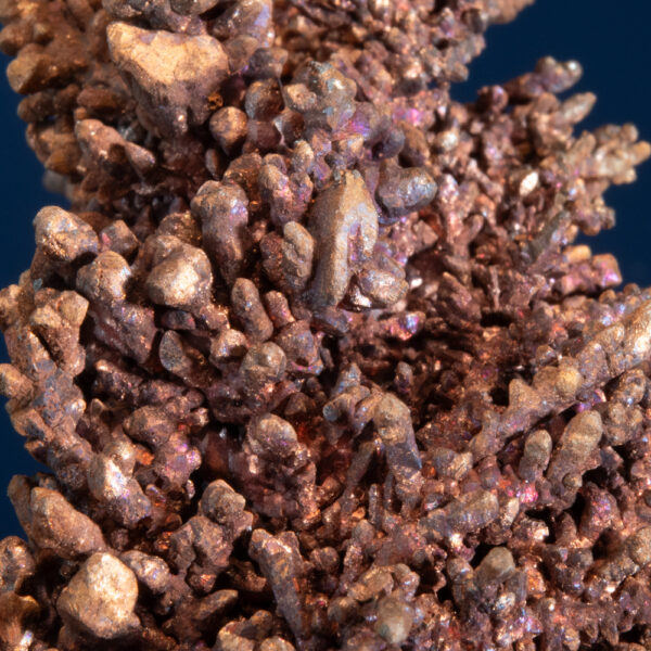 Copper - Image 5