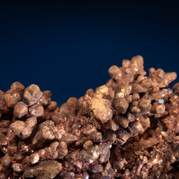 Copper - Image 6