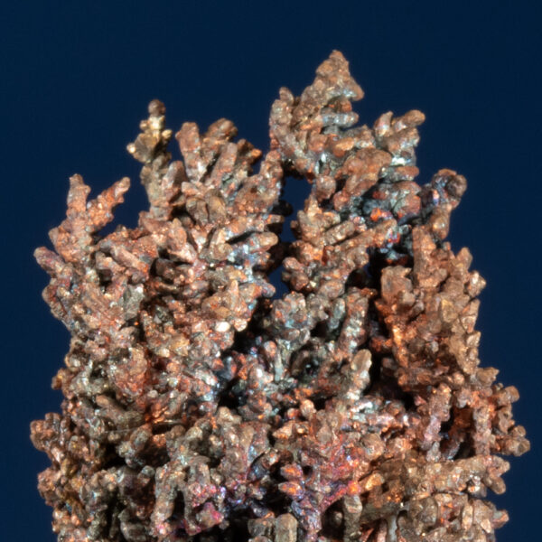 Copper - Image 2