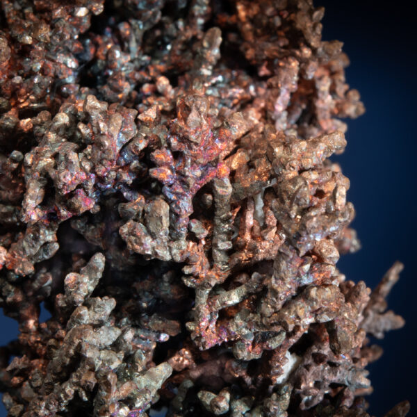 Copper - Image 3