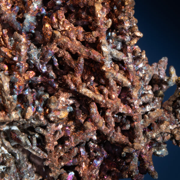 Copper - Image 3