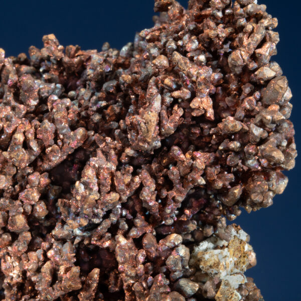Copper - Image 2