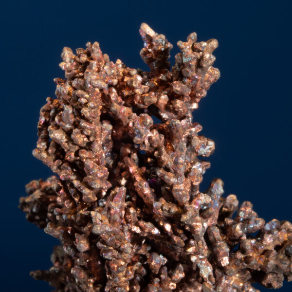 Copper - Image 3
